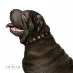 Leder Halsband 2 cm geziert mit runden Stahlnieten_8