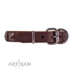 Edles Hundehalsband Leder mit Pyramiden-Nieten_2