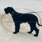 Fur saver dog collar with toggle_1