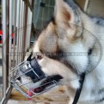 Wire Basket Dog Muzzle for Alaskan Malamute- Best dog muzzle Bestseller_1