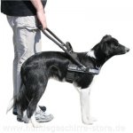Hundegeschirr Nylon Schwarz | bestseller Blindenführhundgeschirr Klettlogo_5