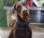 Exklusives Halsband \'Heavy Metal\', Echtleder_12