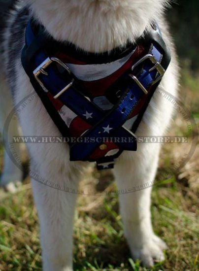 K9 Geschirr für Malamute, Designer Brustgeschirr Leder ✾