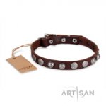 Leder Halsband 2 cm geziert mit runden Stahlnieten_0