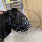 Bequemer Drahtmaulkorb für Continental Bulldog_0