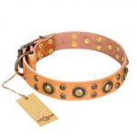 Designer Hundehalsband aus Leder mit originellem Dekor, eng_1