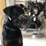 Gummierter Beißkorb aus Draht für Rottweiler_1