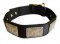 Nylon Dog Collar, Vintage Plates