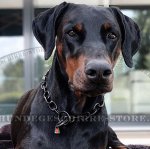 Herm Sprenger Hundekette für Dobermann_1