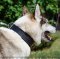 Halsband für Laika, gepolstert für Arbeitshunde