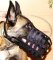 Hundemaulkorb Leder für Belgischen Malinois