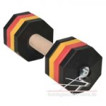 Apportierholz für Hunde mit nicht abnehmbaren bunten Scheiben