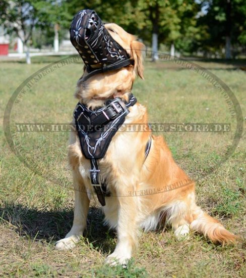 Hundegeschirr Leder Golden Retriever mit Handbemalung, exklusiv