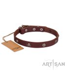 Einzigartiges Nieten-Halsband aus braunem Leder mit Schädel und Blumen Design_7