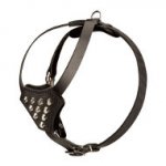 Hundegeschirr mit Pyramiden, kleine und mittelgroße Hunderasse