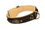 Gepolstertes Lederhalsband mit exklusivem Dekor für Dobermann_3