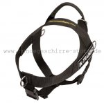 Nylongeschirr multifunktional für Deutsche Dogge_1