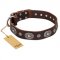 Leder Hundehalsband "Extra Pizzazz" FDT Artisan in Braun, schick