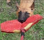 Weiches Beißkissen mit Schlaufe für Malinois Welpentraining_0