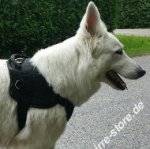 Weißer Schweizer Schäferhund Geschirr aus Nylon mit Brustplatt