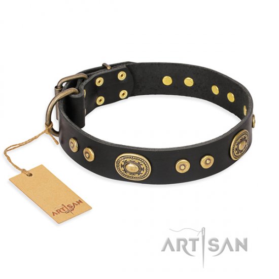 Hundehalsband aus Leder "Golden Radiance" FDT Artisan, schwarz