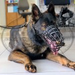 Maulkorb Draht gummiert für Deutschen Schäferhund, praktisch_5