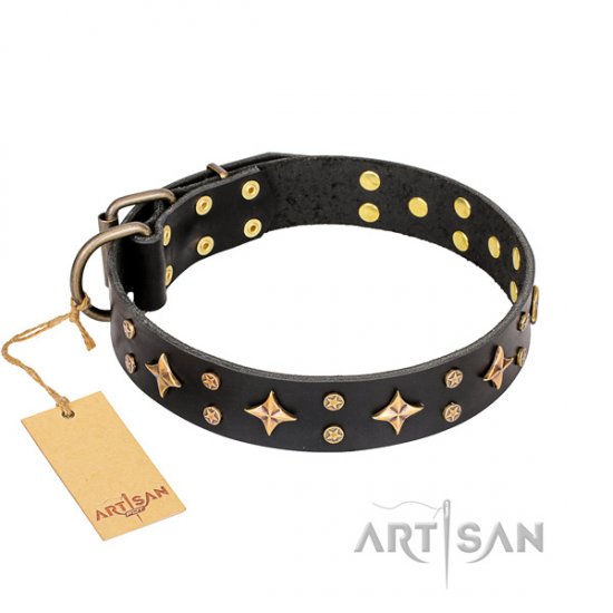 Leder Hundehalsband "A La Mode" FDT Artisan mit Sternen-Nieten