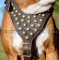 Leder Geschirr für Deutschen Boxer mit Nieten ◎◎◎