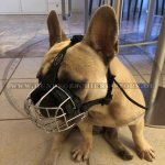 Bestseller Maulkorb aus Draht für Französische Bulldogge, super stark_1