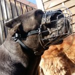 Metall Maulkorb aus Stahldraht für Cane Corso Hund_2