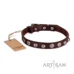 Leder Halsband 2 cm geziert mit runden Stahlnieten_3