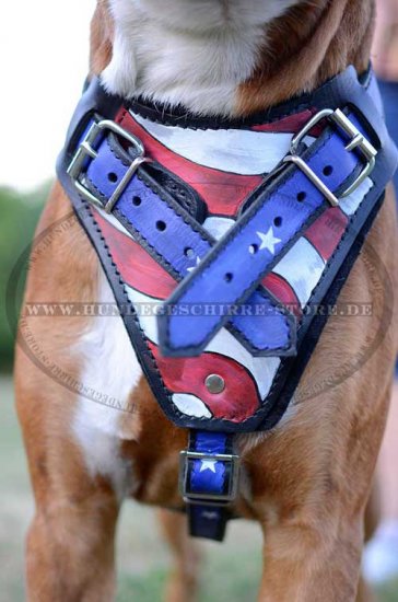 German Boxer Dog Harness Leather 2015