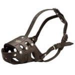 Bull Terrier everyday leather dog muzzle_0