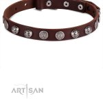 Leder Halsband 2 cm geziert mit runden Stahlnieten_5