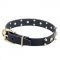 Halsband Hund Design mit Spikes und Schädeln Rock Stil