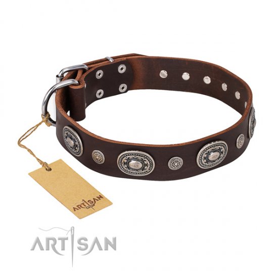 Leder Hundehalsband "Extra Pizzazz" FDT Artisan in Braun, schick