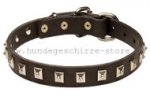 Feines Hundehalsband für Deutschen Schäferhund