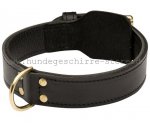 Lederhalsband mit Messing Schnalle für Bullmastiff Trainings und Erziehung_3