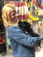 Praktisches Nylon Geschirr für Welpen | Welpen Sattelgeschirr_2