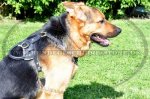 Hundegeschirr Leder TOP-Klasse | Hunde-Ledergeschirr fein_12