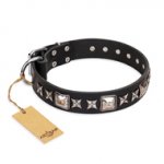 Hundehalsband aus Leder "Space Walk" FDT Artisan, schwarz