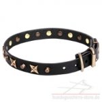 Designer Hundehalsband aus Leder mit originellem Dekor, eng_0