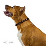 Designer Lederhalsband 2 cm mit Nieten im Blumen Motiv ❁_8