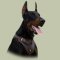 Hundegeschirr aus Leder für Dobermann, multifunktionell