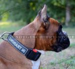 Boxer Hunde Halsband Nylon | Halsband mit Patches