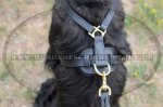Hundegeschirr Leder TOP-Klasse | Hunde-Ledergeschirr fein_5