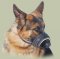 Leder Maulkorb für Deutschen Schäferhund, exklusiv