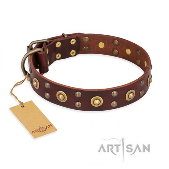 Leder Hundehalsband "Caprice of Fashion" FDT Artisan in Braun