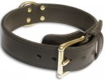 Lederhalsband mit Messing Schnalle für Bullmastiff Trainings und Erziehung_1