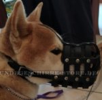 Leichter Hundemaulkor Leder für Shiba mit guter Luftzirkulation_0